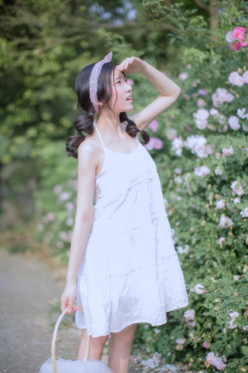 电视剧太阳泪